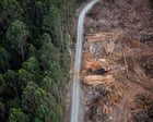 Tasmanian leaders struggle with a basic fact: environment laws should protect the environment | Adam Morton
