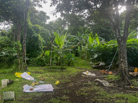 A small plot of land with lush vegetation. On the a piece of cleared ground lie farm implements as well as chillies and bananas harvested from the plot.