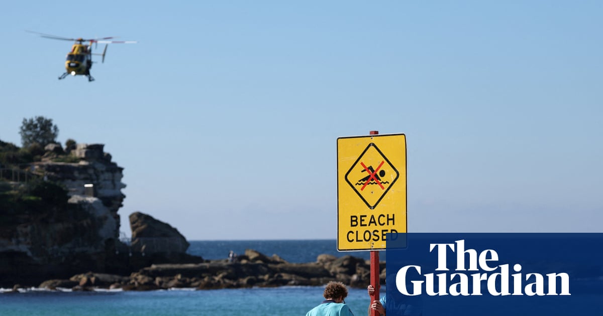 A shark attacked a swimmer at a popular Sydney beach. How rare is it – and how can you stay safe?