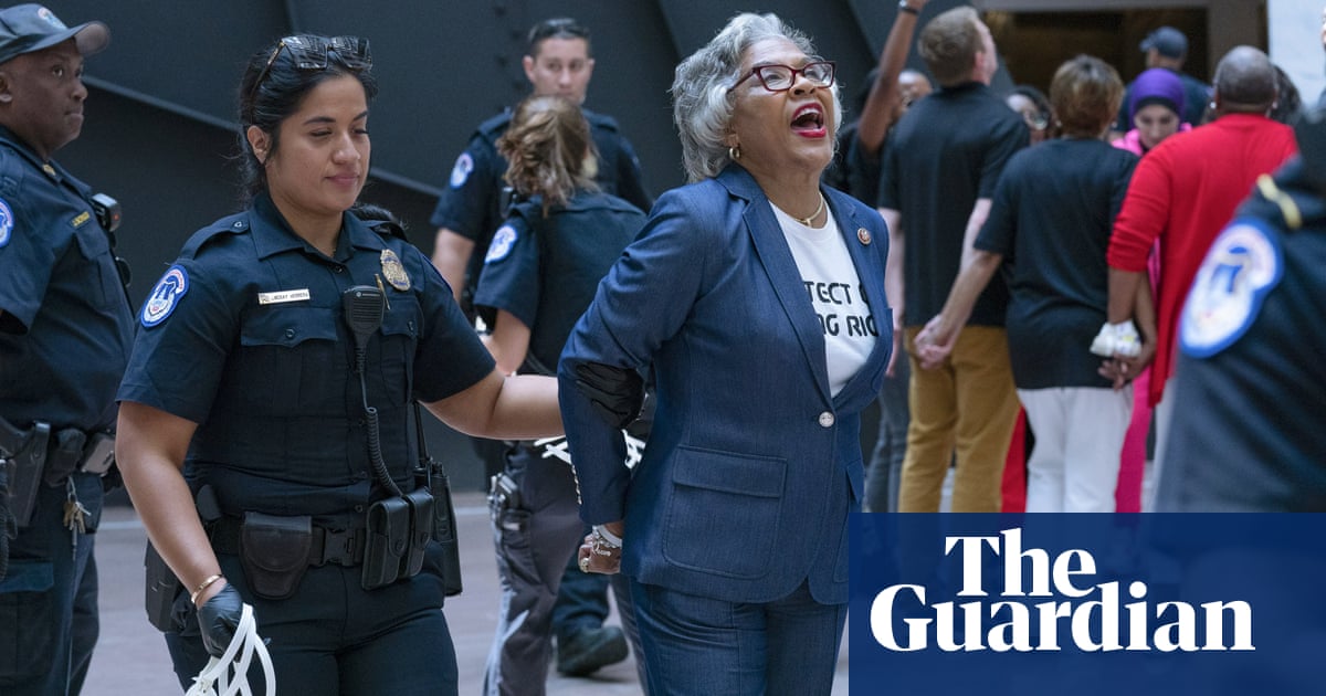 Democratic congresswoman arrested during voting rights protest at Capitol