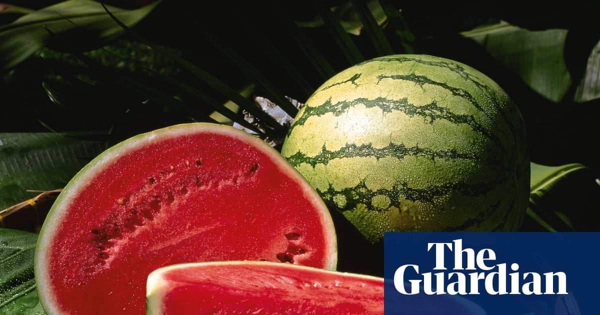 Light, sweet and easy to eat – why melons and other cool fruits rule August