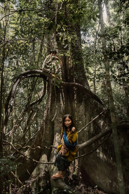Two children climbing a trees in the protected forest managed by the Apiwtxa community.
