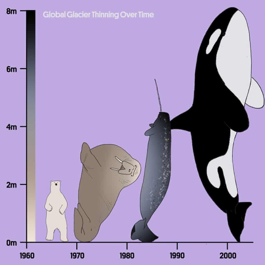 Glaciers have been rapidly growing thinner over the past decades