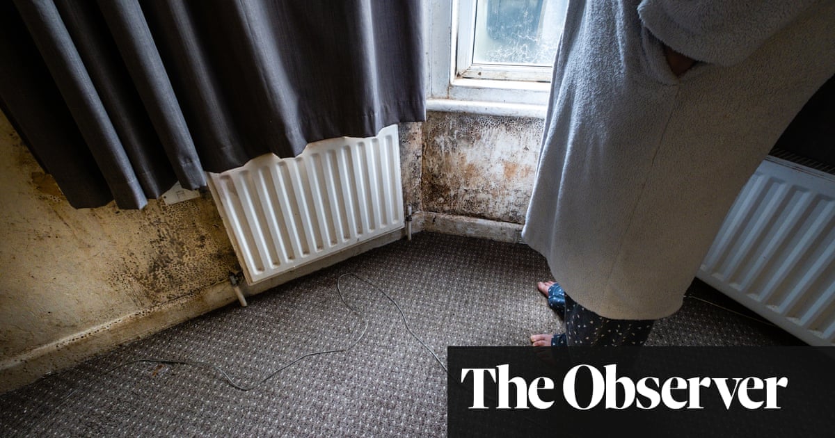 ‘I wouldn’t have the money to pay a lawyer’: tenants left without means to sue rogue landlords
