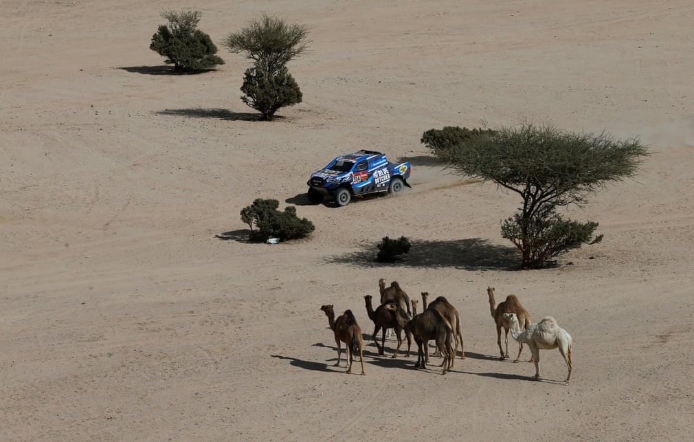 Guardian photos of the day. - Page 14 3500