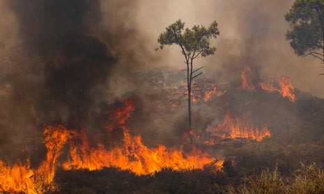 A wildfire on the Greek island of Rhodes.