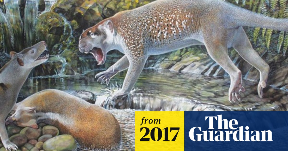 Animal Cave - grazing on fallen mesquite leaves. abandoned cave lion by anonymou