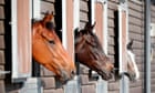 A transport policy made on the hoof | Brief letters