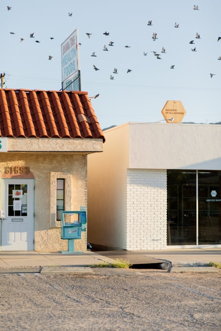 stores with birds flying overhead