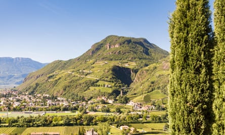 Hillsides and vines near Bolzano.