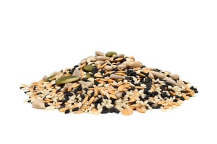 seeds