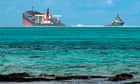 Experts and volunteers scramble to save Mauritius's wildlife after oil spill