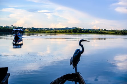 A stork is silhouetted against the waters of a still lake fringed with tropical greenery as a boat approaches