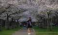 A woman taking a selfie with cherry blossom
