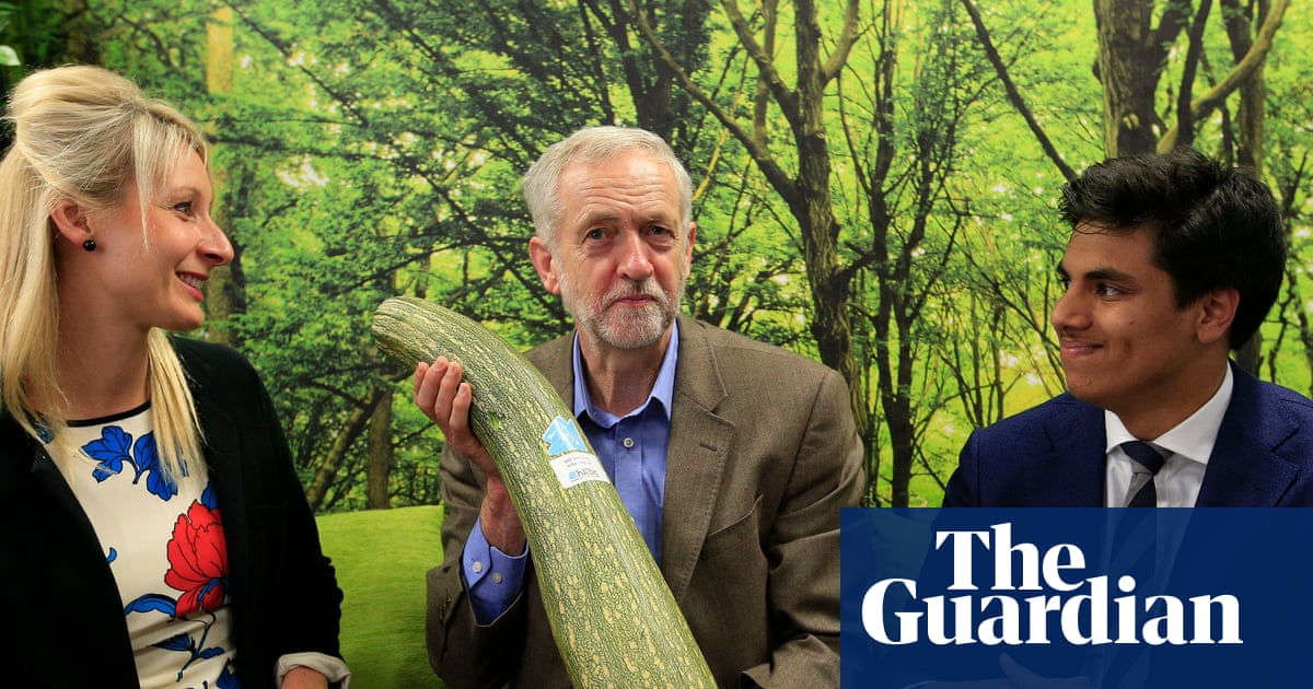 Jeremy Corbyn warns rules on council asset sales threaten allotments