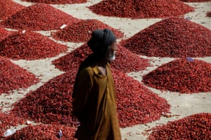 A man stands in front of mounds of red chilli pepper, at the Mirch Mandi wholesale market, in Kunri, Umerkot, Pakistan