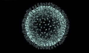 Coronaviruses are named after the corona (crown) of surface proteins (outer dots) that are used to penetrate a host cell.