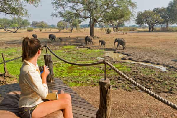 Robin Pope Safari Lodge(アフリカ、ザンビア、サウスルアングワ・バレー)でデッキからゾウを見る訪問者
