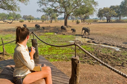 Visitor watching elephants from deck at Robin Pope Safari Lodge, South Luangwa Valley, Zambia, Africa