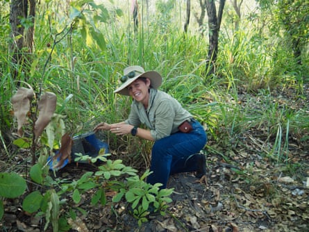 Senior wildlife ecologist Eridani Mulder releases the possum.