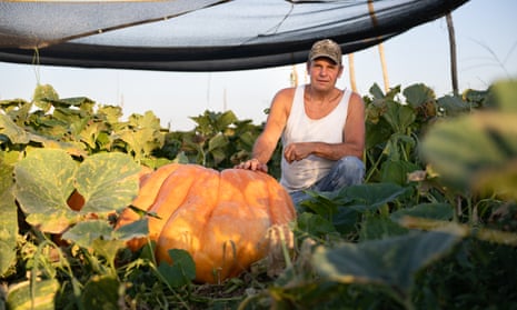 Duane Hansen in his pumpkin patch