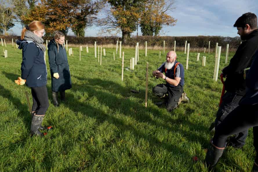 A woodland Creation Officer plants a tree as community volunteers and Thames 21 employees plant a range of oak, holly, birch, ferns, willow, and more at Botany Bay Farm in London.