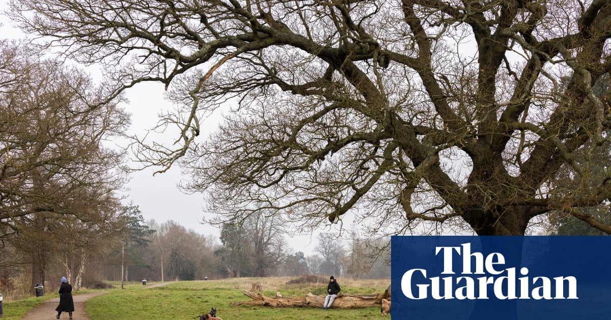 ‘Dark day for parks’: Plans to build Spurs academy on London green space approved | London ‘Dark day for parks’: Plans to build Spurs academy on London green space approved | London
