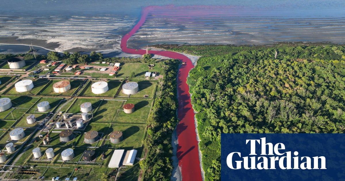 River near Buenos Aires turns bright red after suspected industrial dye leak | Argentina River near Buenos Aires turns bright red after suspected industrial dye leak | Argentina