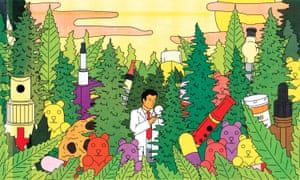 Doctors are still researching the benefits of medical marijuana