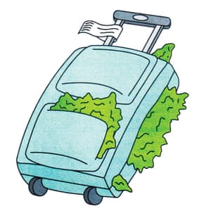 A relaxing of attitudes toward cannabis is taking place around the world.