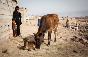 A displaced woman and her granddaughter in Basra marshlands