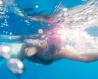 Ultra-endurance athlete completes 900-mile swim along entire California coast