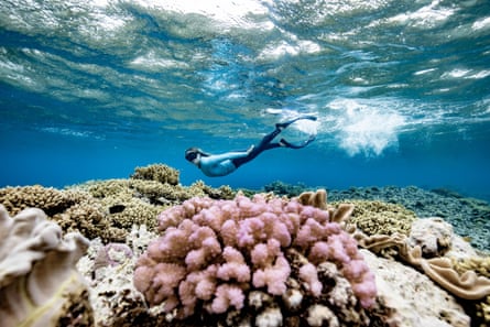 GBR Biology marine biologist Brittany Wassing at Moore Reef on the Great Barrier Reef