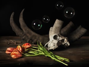 Ibex skull with tulips