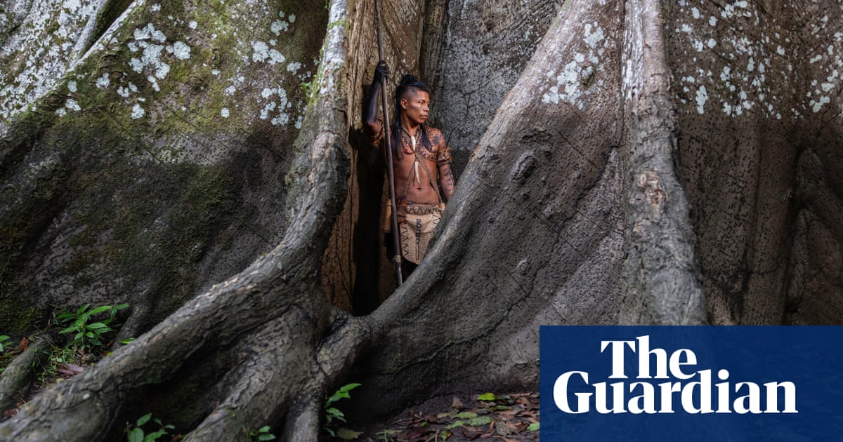 Forests, fires and footings: Earth Photo award winners  in pictures