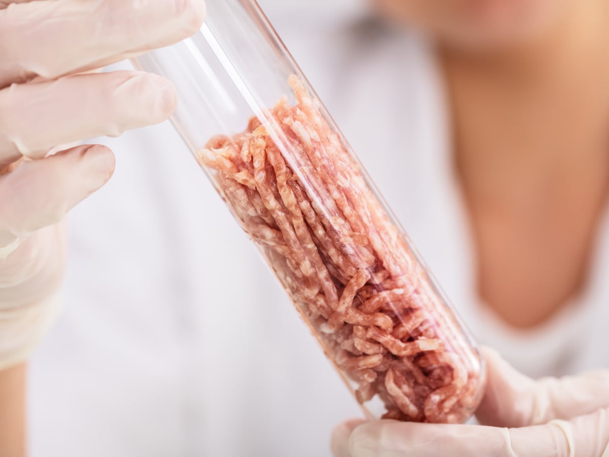 Cultured Meat is Vegan – confusion