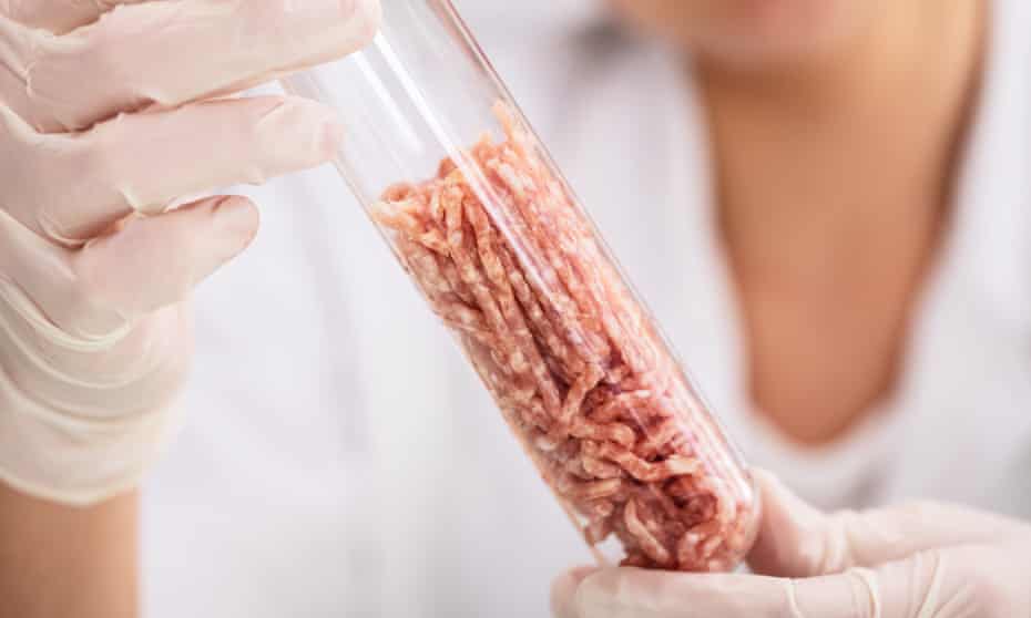 Artificially grown meat in a test tube.