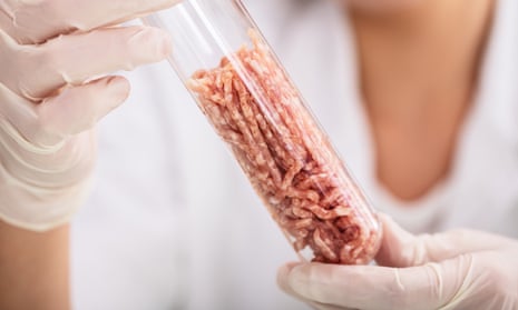 Scientist Hand In Protective Glove Holding Raw Artificial Grown Meat In Laboratory Test Tube