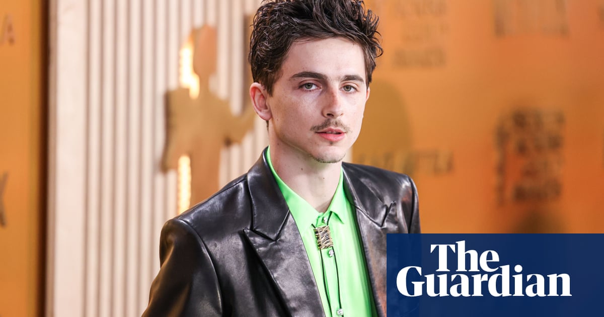 Timothée Chalamet merece un Oscar – por su campaña de los Oscar | Premios Óscar Timothée Chalamet merece un Oscar – por su campaña de los Oscar | Premios Óscar