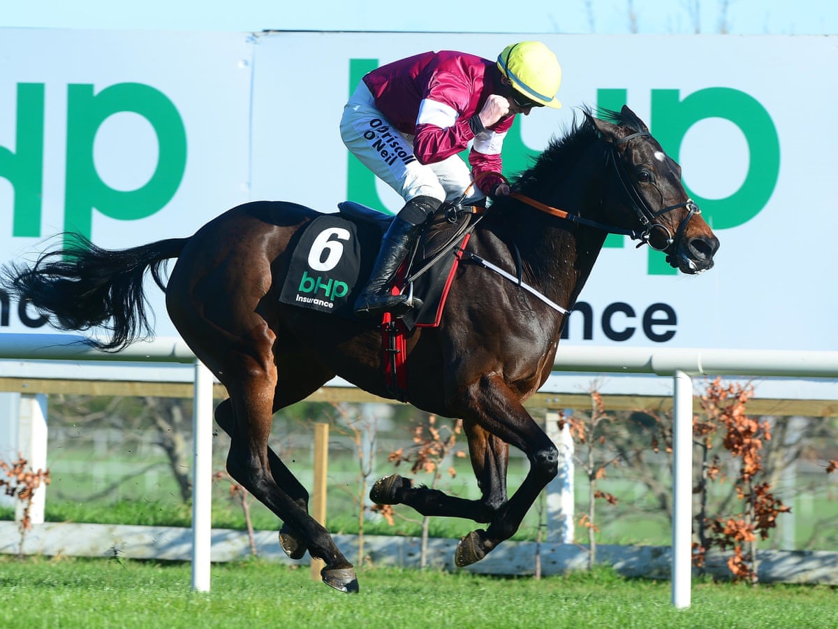 Talking Horses Gordon Elliott On His Big Name Cheltenham Contenders Sport The Guardian