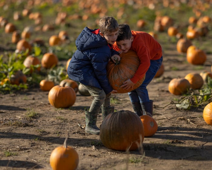 Halloween is looming – this year, I’m ditching my cynicism and getting busy with the pumpkins | Iman Amrani