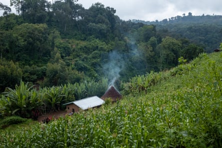 a farm next to protected forest in Ethiopia’s Kafa region