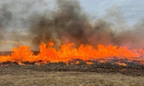 Unseasonal wildfires beset midwest: ‘The strangest winter I’ve ever seen’
