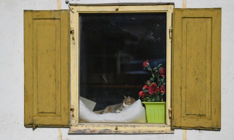 Street sounds from an open window prove no problem for this cat in Germany