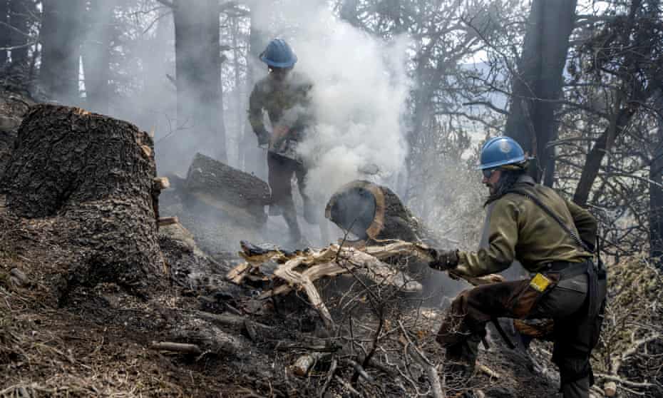 Crews in northern New Mexico have cut and clear containment lines around nearly half of the perimeter of the nation’s largest active wildfire, on 23 May.