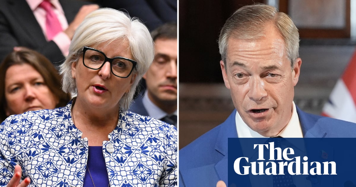 Lib Dem MP Caroline Voaden accuses Nigel Farage of shoving her in Commons
