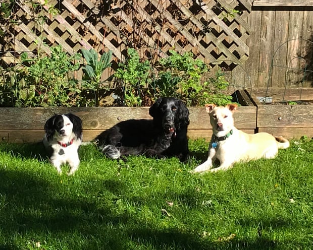 Zoli, Charlie and Titch