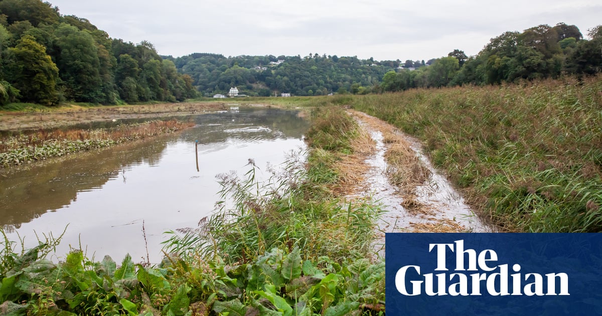 River Tamar allowed to flood farmland to help wildlife and climate