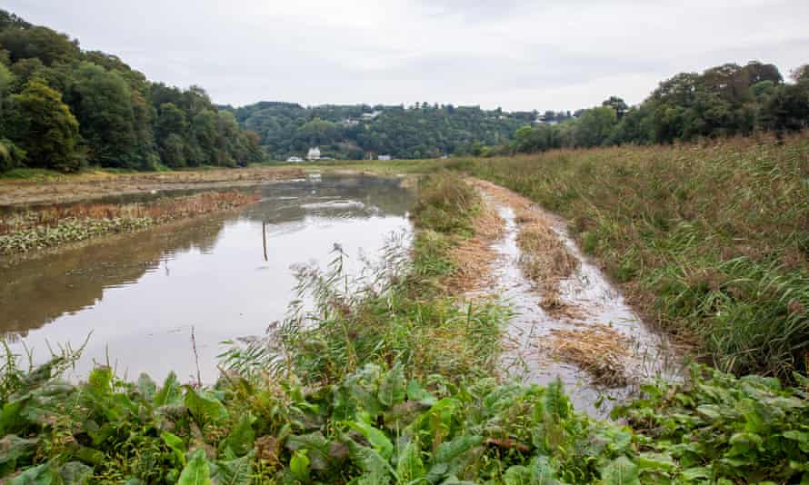 Land owned by National Trust at Cotehele Quay in Cornwall which is being intentionally flooded.