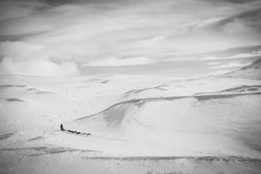 A dog sled in the distance